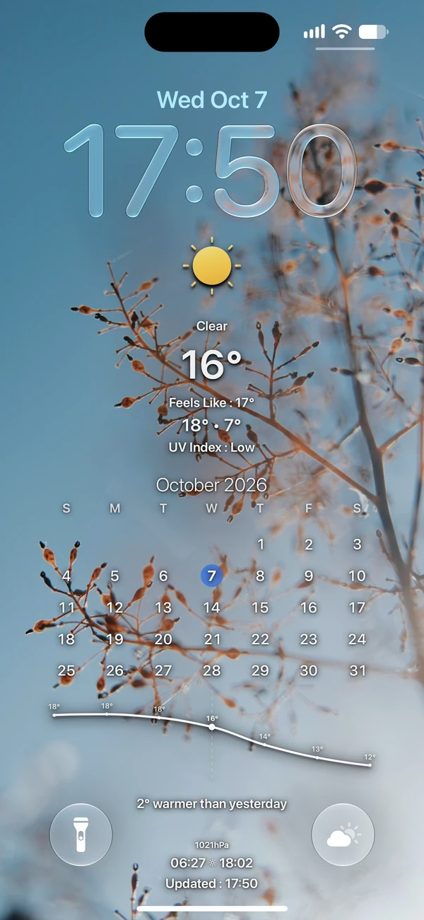 Delicate branches against a blue sky on an iPhone lock screen