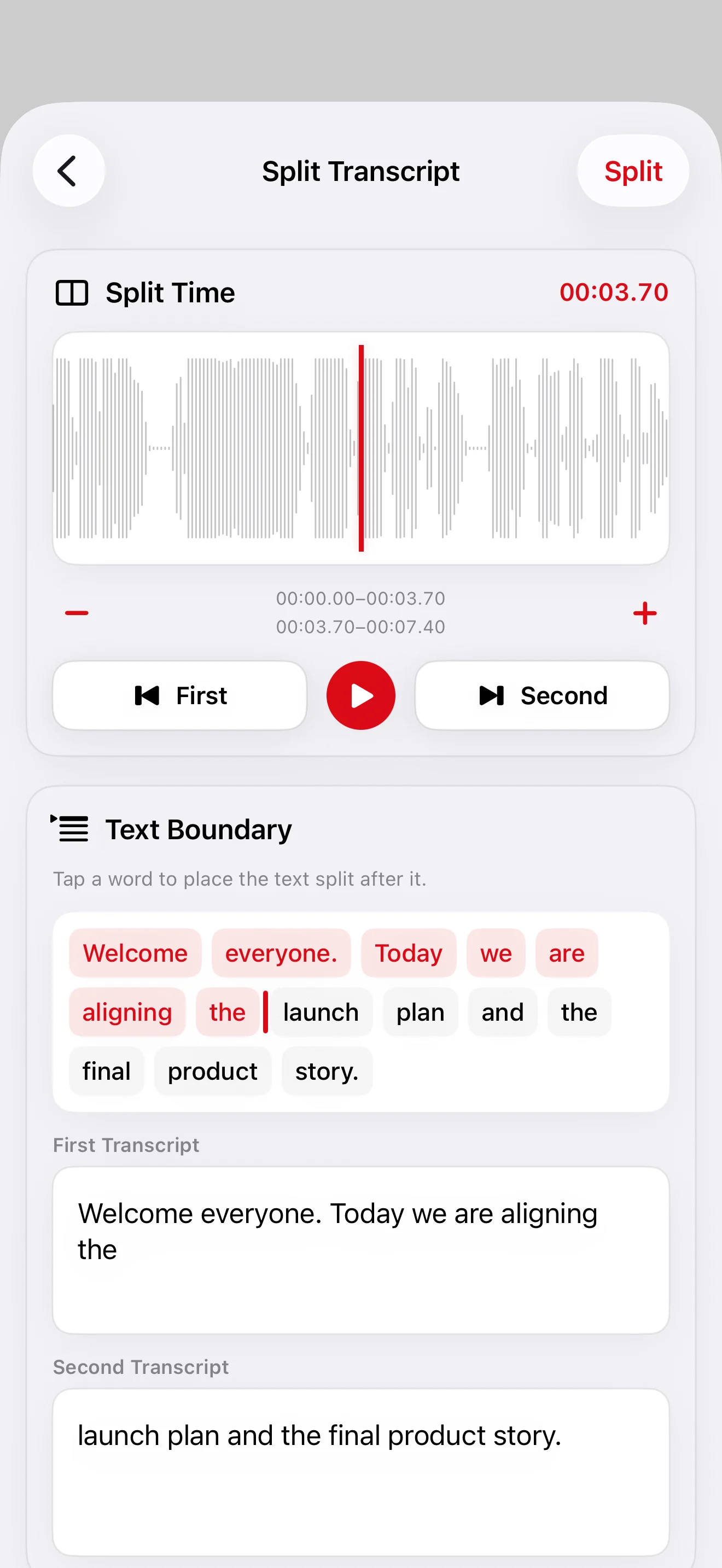 REDREC split transcript screen
